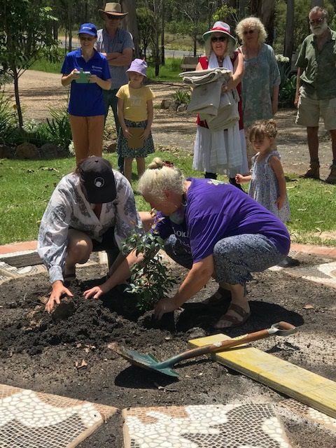 Image of Nymboida community members planting a lilly pilly tree at the centre of the mosaic circle.