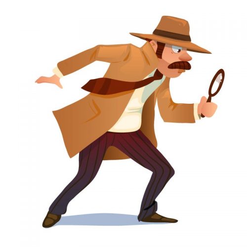 detective-investigator